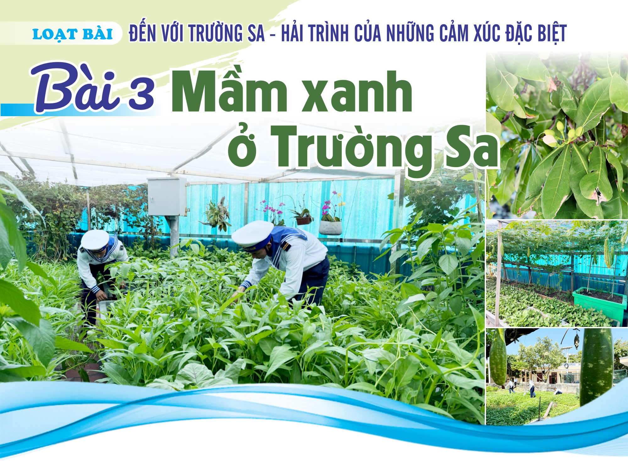 Bài 3: Mầm xanh ở Trường Sa - Ảnh 1