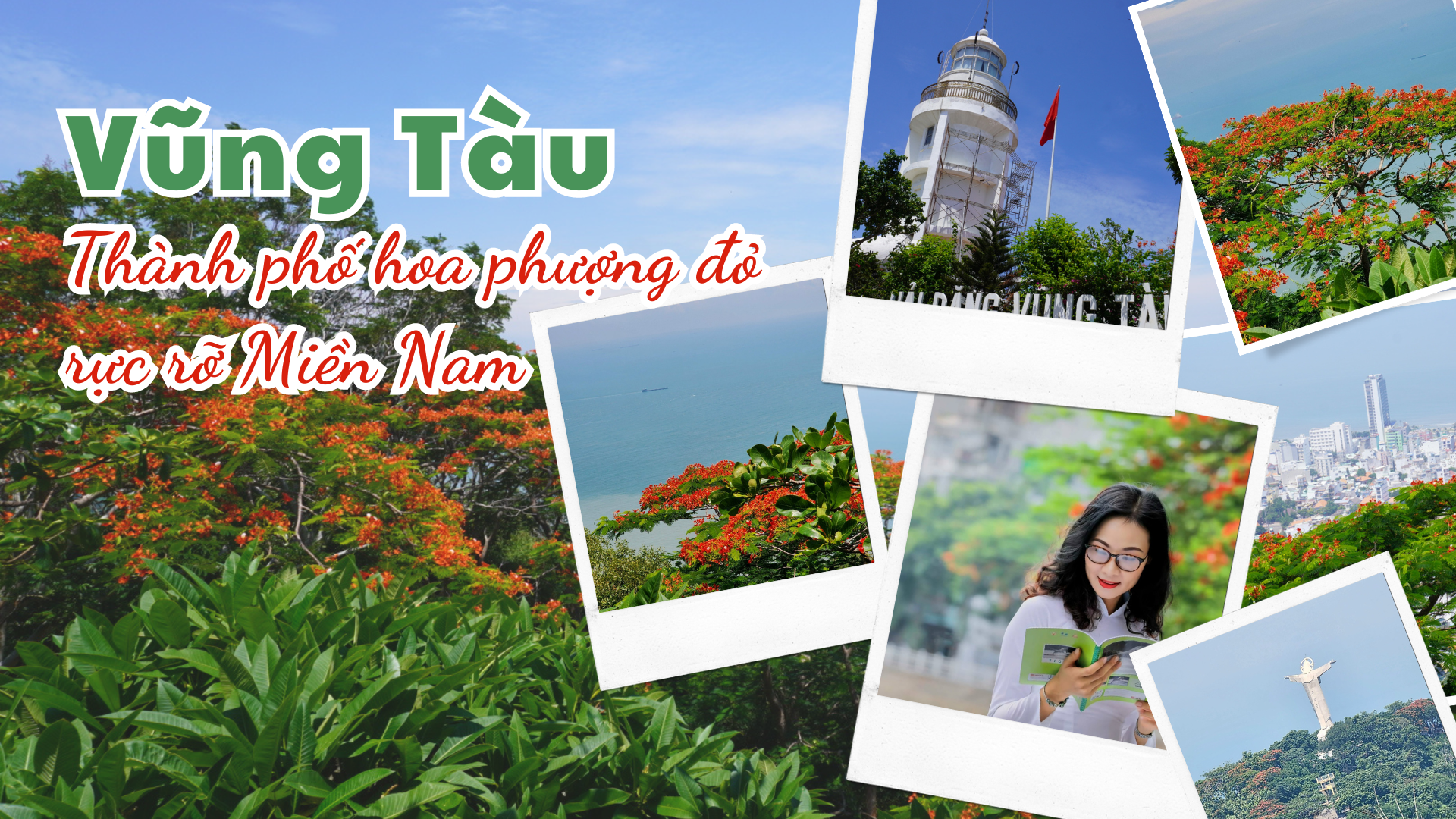 Vũng Tàu - thành phố hoa phượng đỏ của phía Nam - Ảnh 1