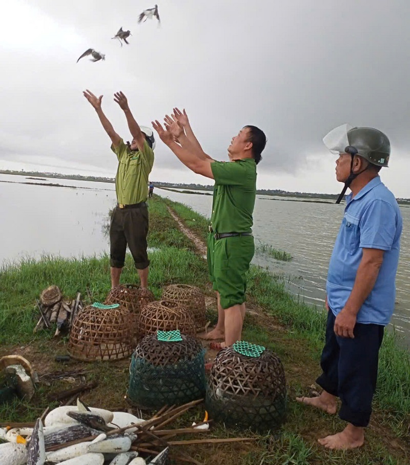 Việc tháo dỡ, tiêu hủy các dụng cụ, thiết bị dùng để săn bắt chim di cư trong mùa mưa bão góp phần bảo vệ sự sinh trưởng, phát triển của các loài chim hoang dã, bảo vệ môi trường sinh thái, bảo tồn đa dạng sinh học