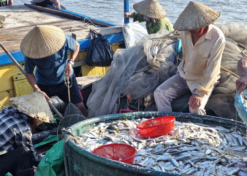 Ngư dân vùng ven biển tỉnh Hà Tĩnh được mùa cá khi thời tiết thuận lợi, hoạt động đánh bắt trên biển diễn ra an toàn