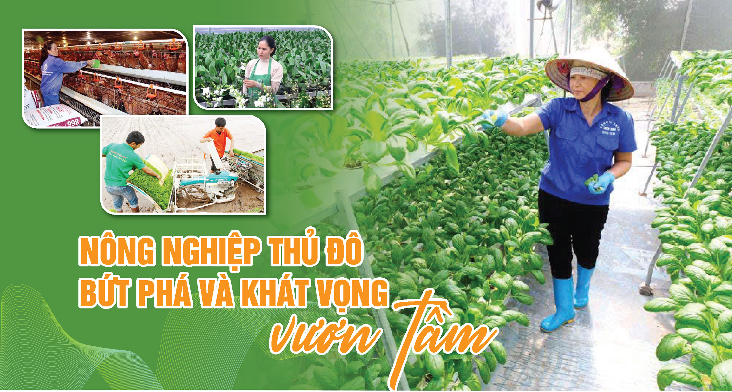 Nông nghiệp Thủ đô bứt phá và khát vọng vươn tầm - Ảnh 1