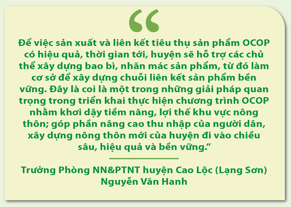 Ngọt giòn cải làn Tân Liên - Ảnh 7