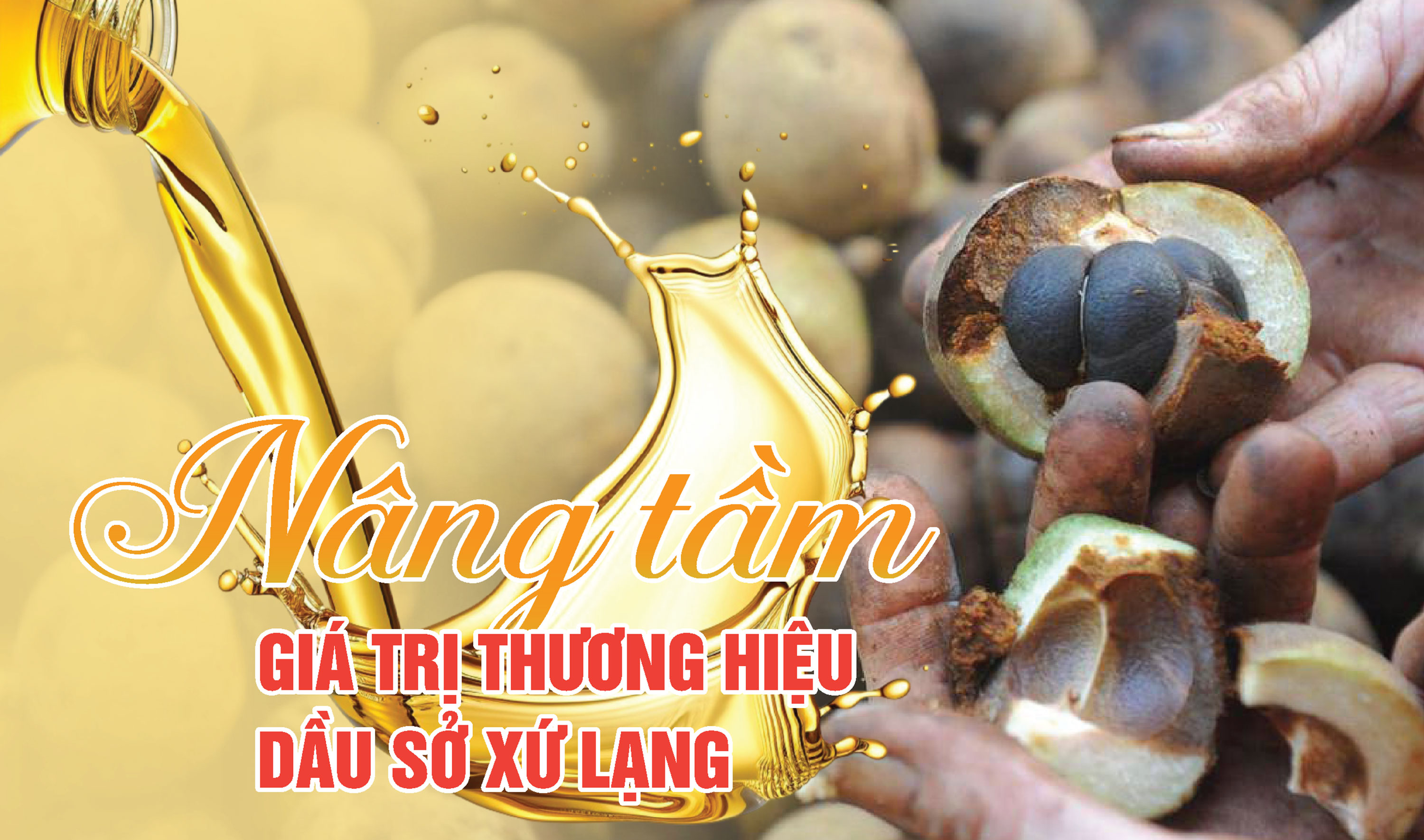 Nâng tầm giá trị thương hiệu dầu sở xứ Lạng - Ảnh 1