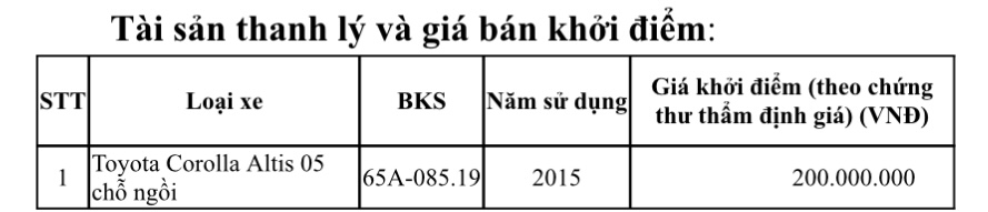 Thông báo chào bán thanh lý xe ô tô đã qua sử dụng - Ảnh 1