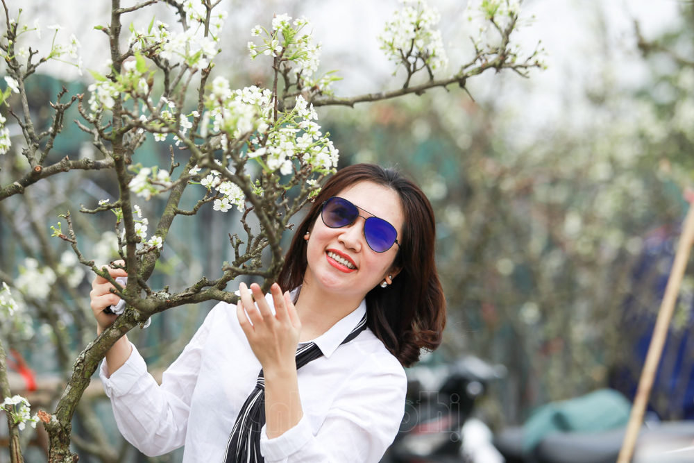 Ảnh] Hoa lê trắng tinh khôi có giá tiền triệu khoe sắc tại Hà Nội