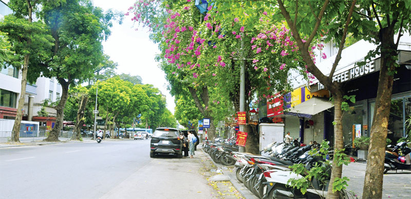 Ảnh đường phố Hà Nội: Sửng sốt với vẻ đẹp cổ kính và truyền thống của Hanoi qua bộ sưu tập ảnh đường phố đẹp mê hồn. Dưới con mắt của các nhiếp ảnh gia, những hình ảnh cổ điển của thành phố Hà Nội được tái hiện rực rỡ và sống động.