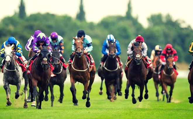 Xây trường đua ngựa hơn 400 triệu USD: Mở cơ hội cho nhà đầu tư