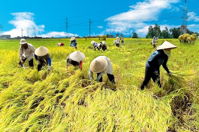 Lạng Sơn hỗ trợ phát triển kinh tế tập thể hợp tác xã giai đoạn 2021   2025  Sở kế hoạch đầu tư
