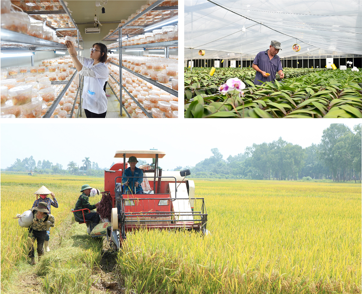 Nông nghiệp Hà Nội, cần một tầm nhìn chiến lược - Ảnh 6