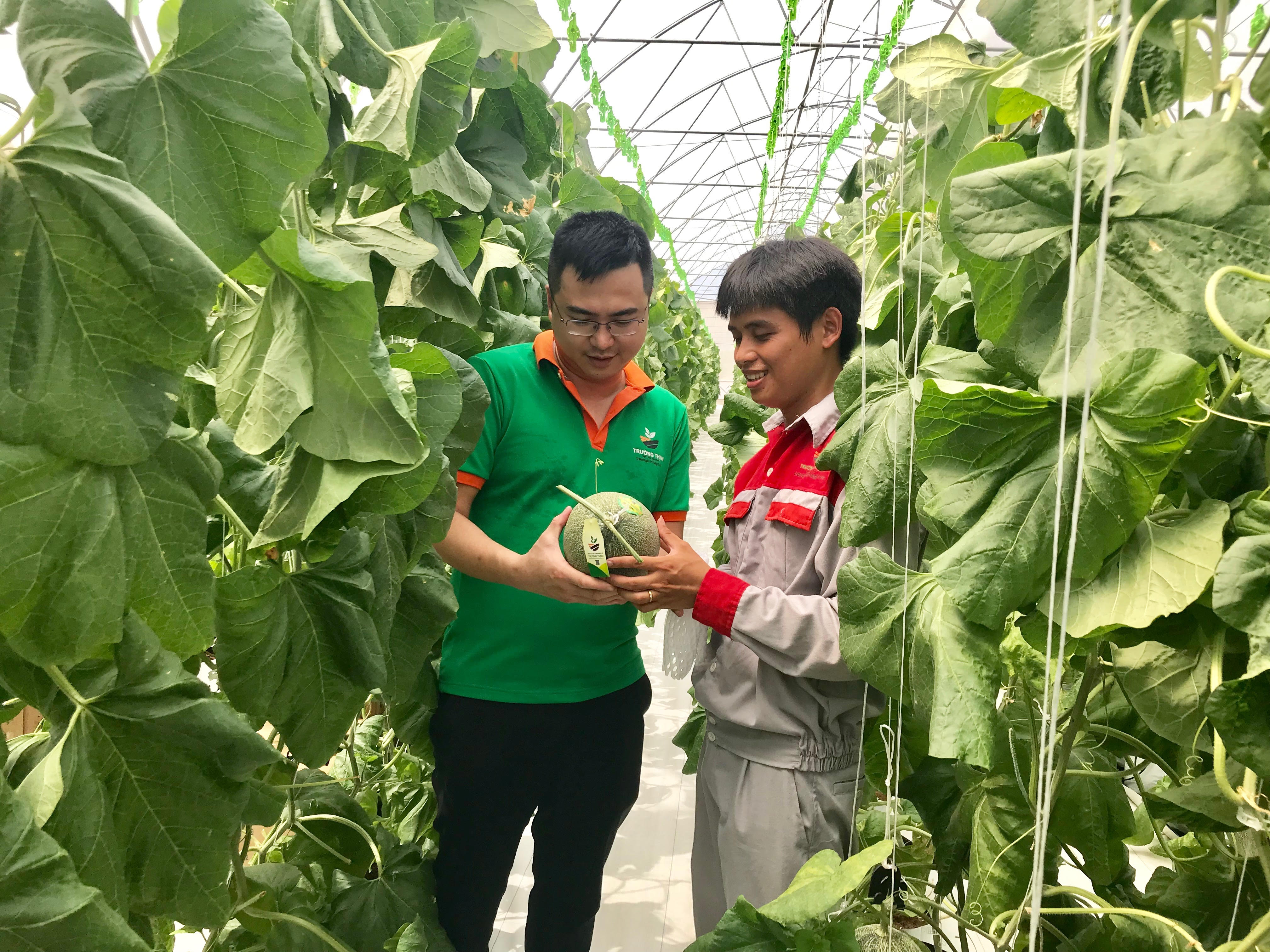 Bắc Ninh phát triển nông nghiệp công nghệ cao theo hướng bền vững