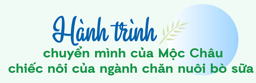 Thiên đường sữa Mộc Châu - điểm nhấn mới của ngành sữa Việt Nam - Ảnh 3