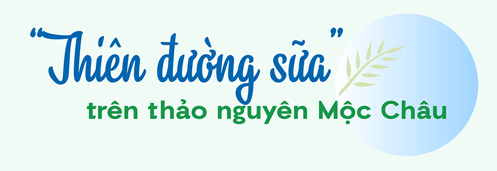 Thiên đường sữa Mộc Châu - điểm nhấn mới của ngành sữa Việt Nam - Ảnh 6