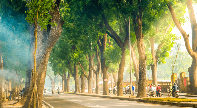 Em nghe chăng… trong nắng Thu Hà Nội - Báo Kinh tế đô thị