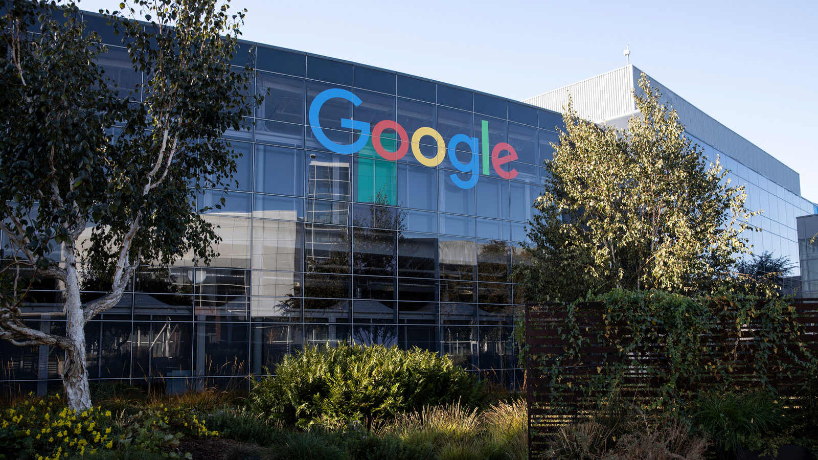 Lợi nhuận của Google giảm mạnh
