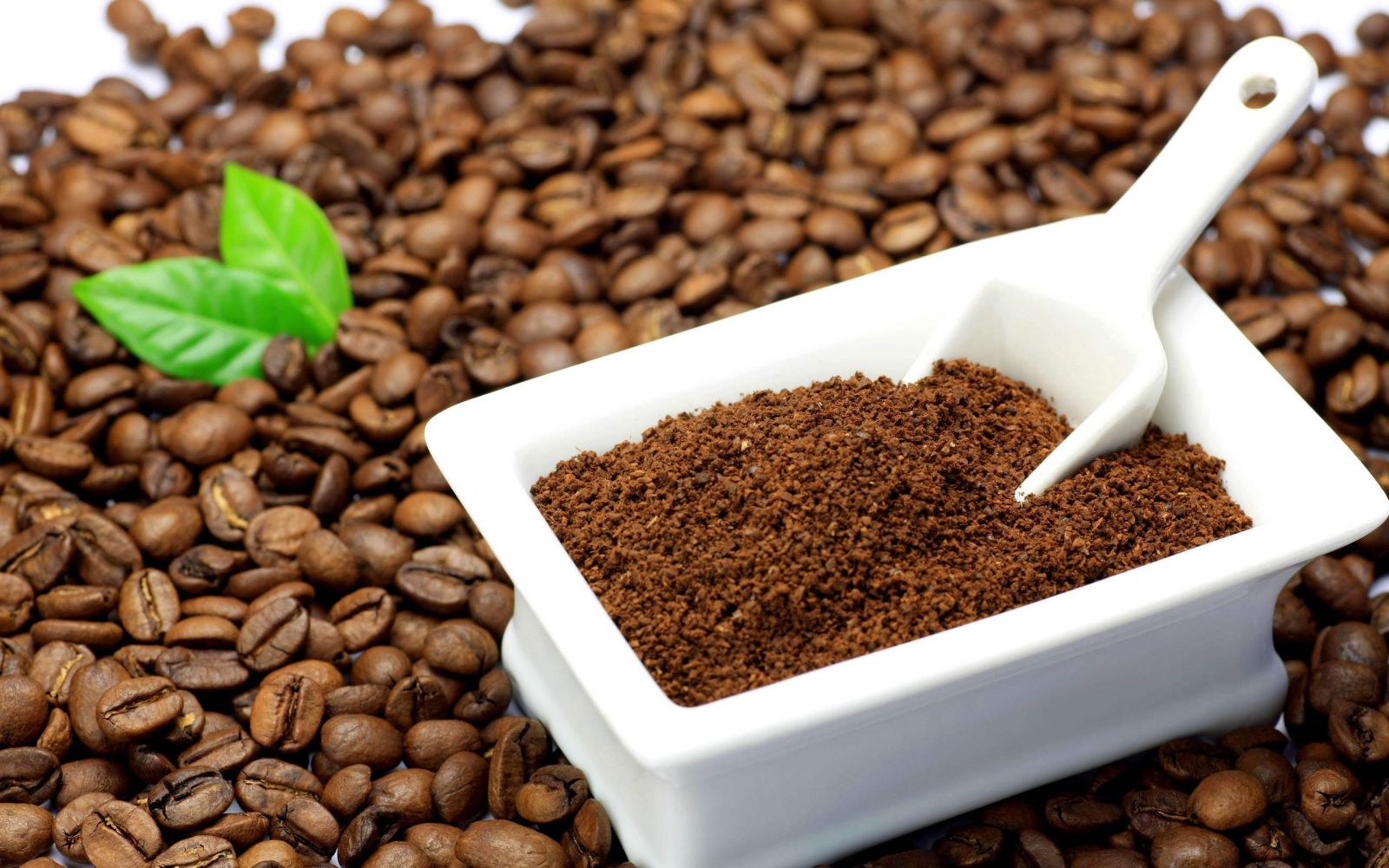 Giá cà phê hôm nay 27/12: Yếu tố sẽ ảnh hưởng mạnh giá cà phê 2023