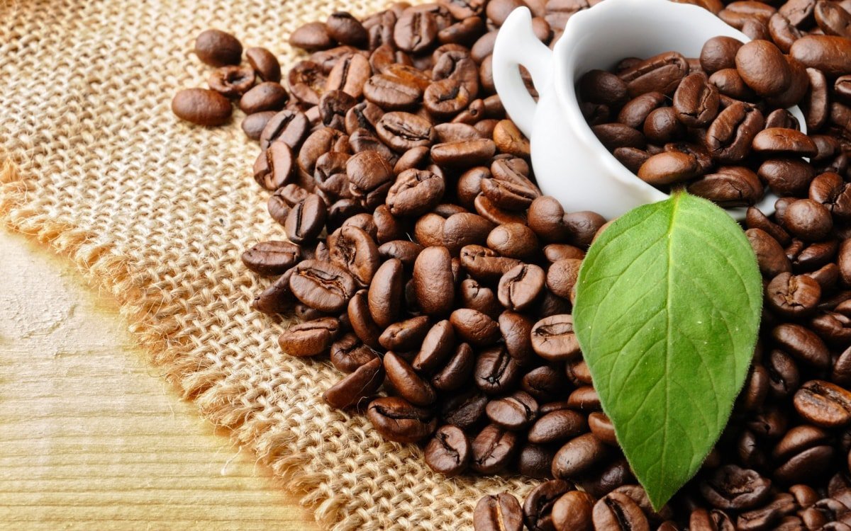 Khám phá 113 hình nền hạt cà phê tuyệt vời nhất  Tin học Đông Hòa
