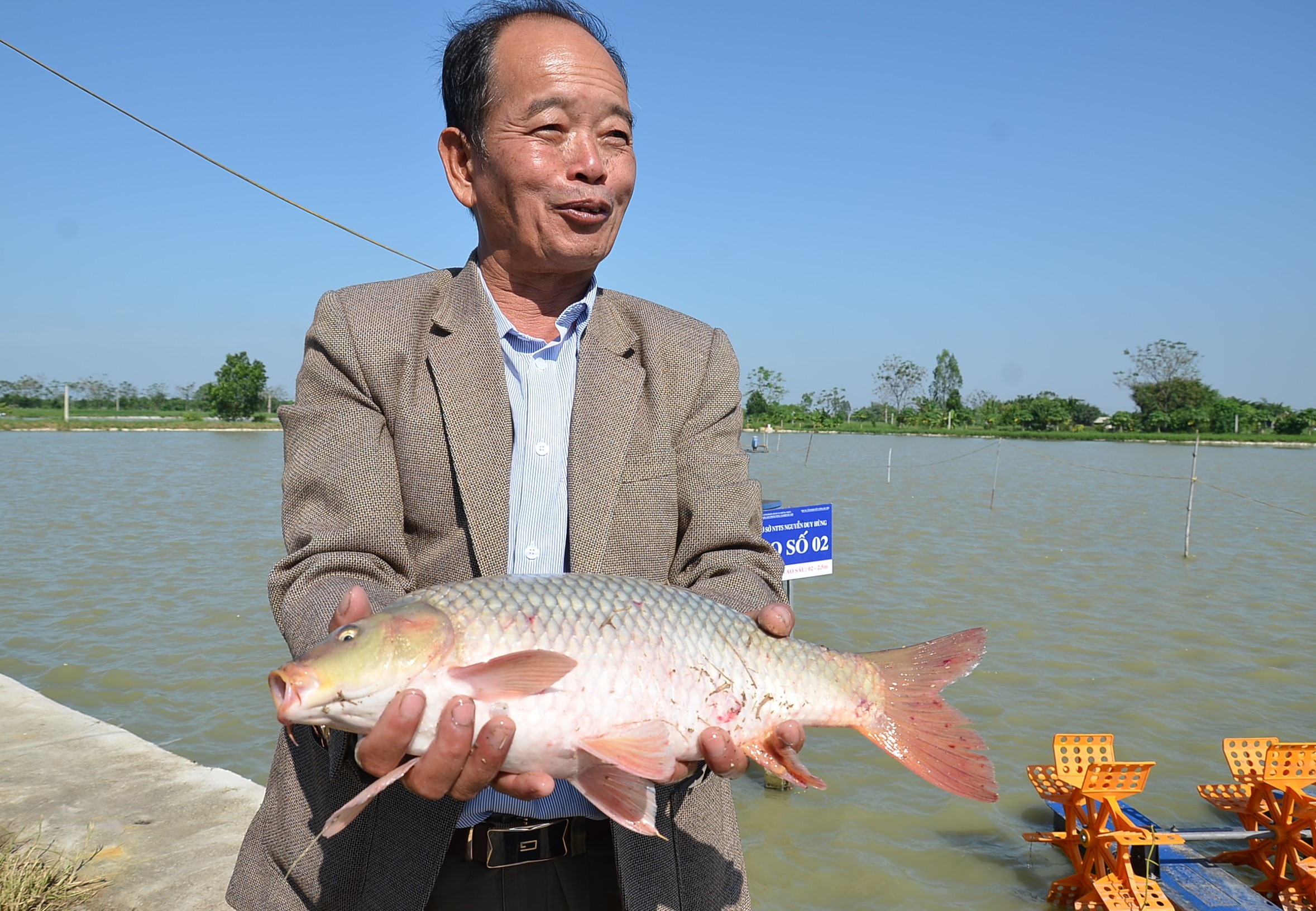 Một mô hình nuôi cá chép theo hướng an toàn sinh học do Trung tâm Khuyến nông Hà Nội triển khai tại huyện Ứng Hòa. Ảnh: Ngọc Ánh