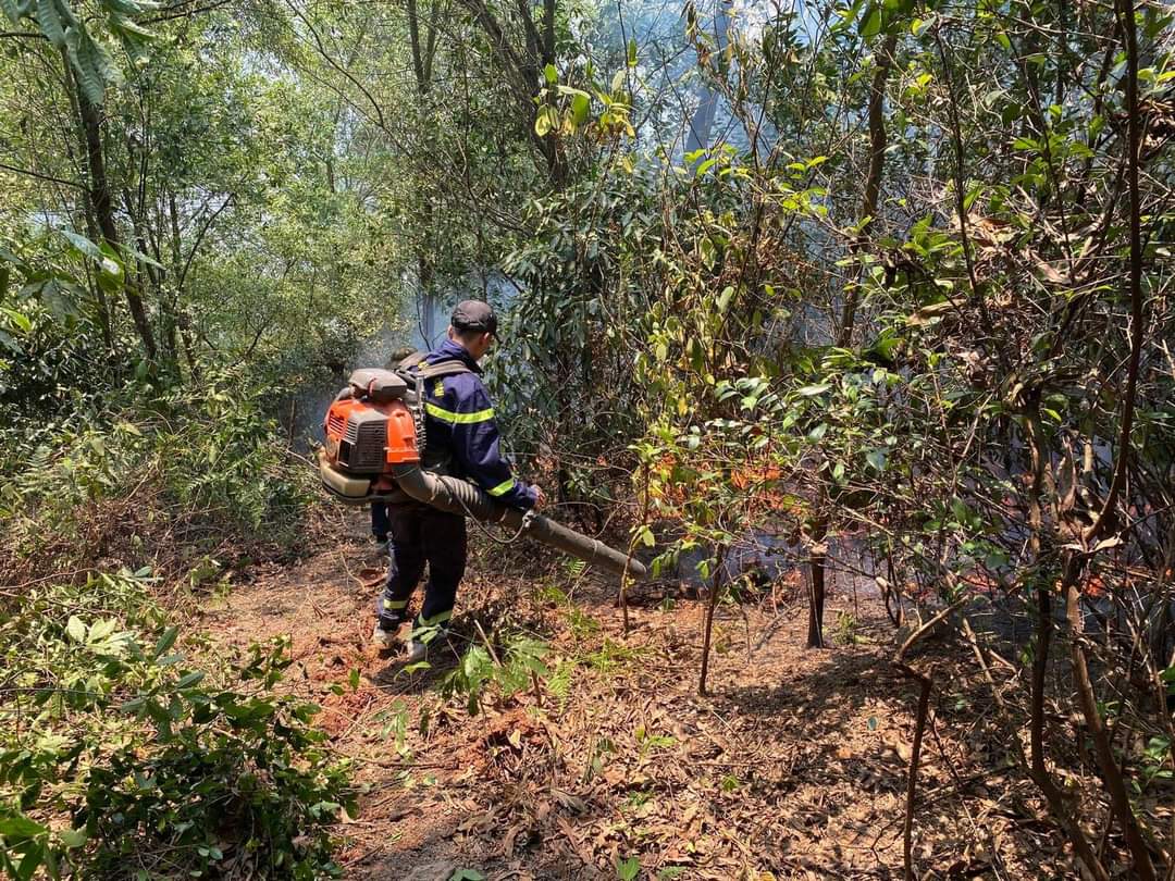 Hundreds Of People Put Their Efforts Into Fighting Forest Fires 