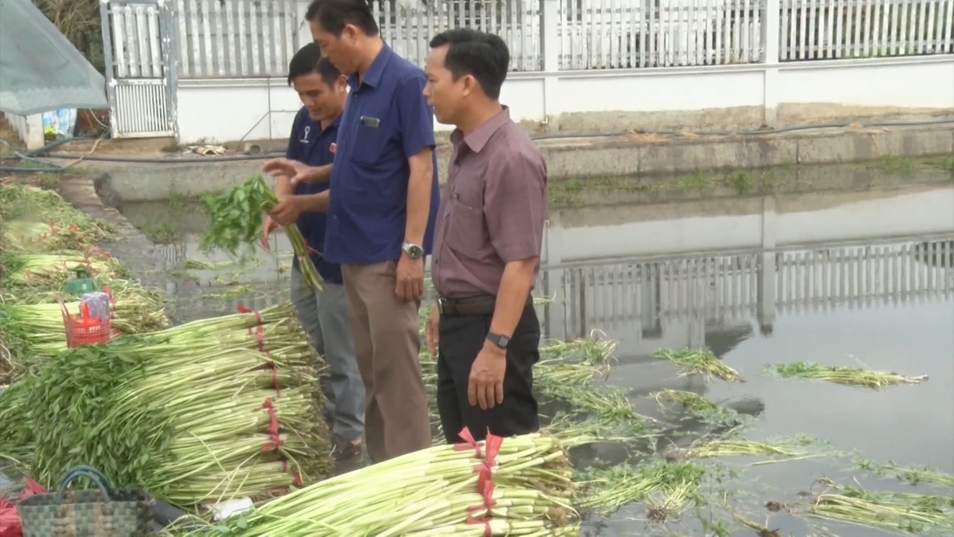 Success From Advanced New Rural Construction In Gia Kiem Commune (dong 