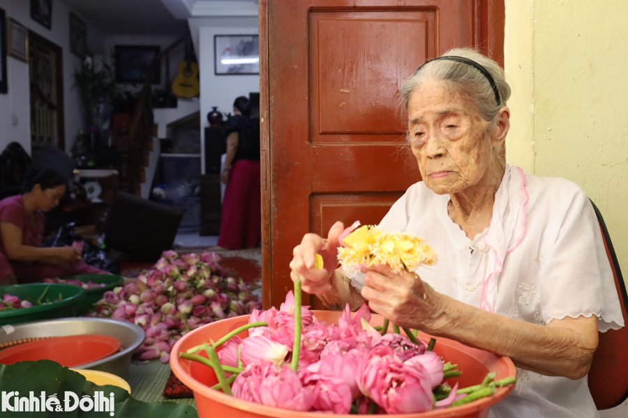 Cụ Nguyễn Thị Dần chọn sen để ướp trà. Ảnh: Ngọc Tú