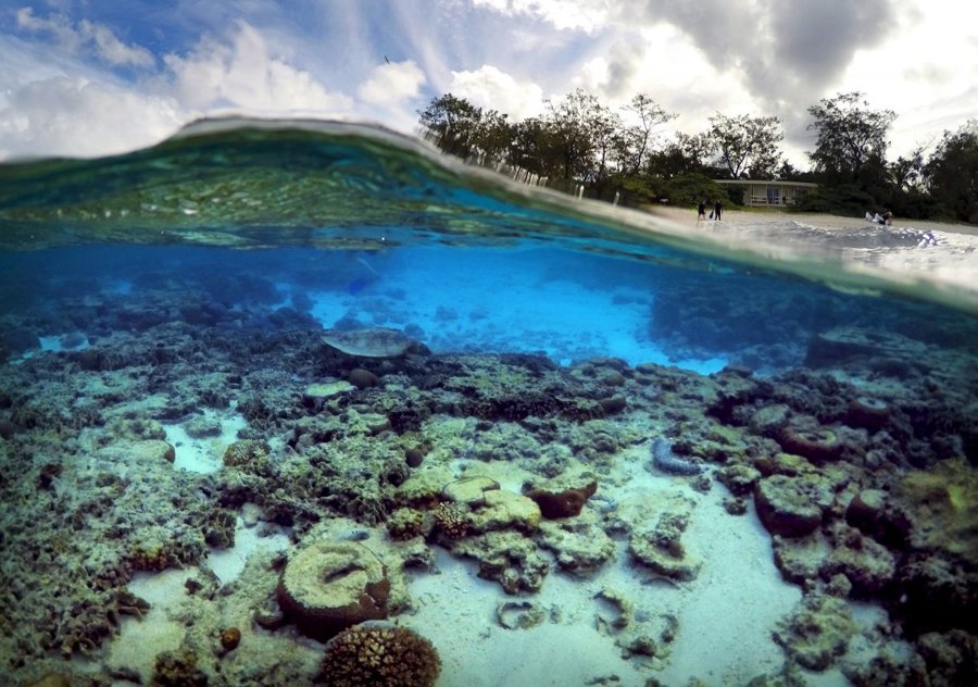 Rặng san hô lớn nhất thế giới Great Barrier Reef. Ảnh: Reuters