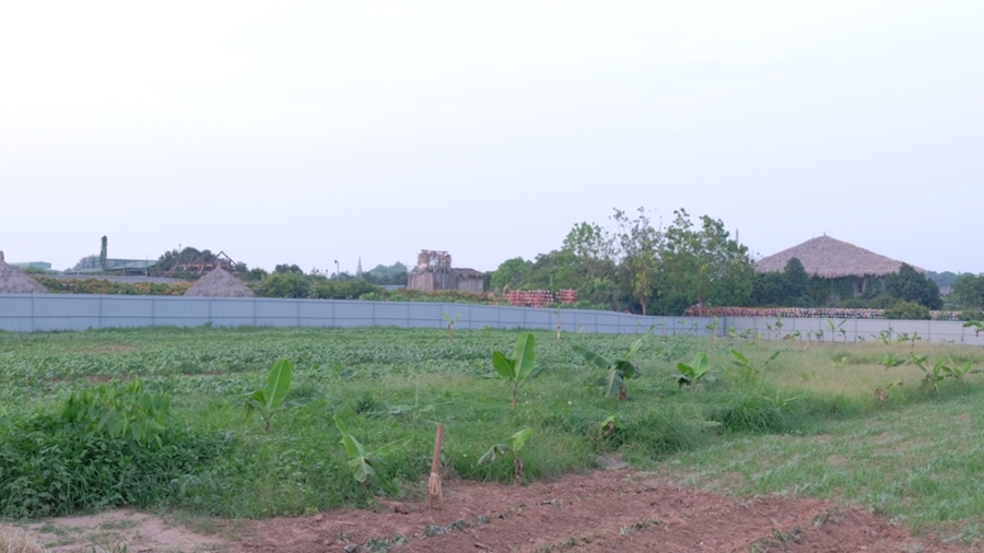 Một diện tích đất nông nghiệp tại xã Hiệp Thuận (huyện Phúc Thọ).