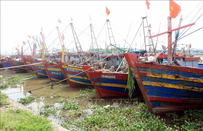 Cục Đường thủy nội địa Việt Nam có trách nhiệm chỉ đạo các Cảng vụ đường thủy tiếp tục rà soát, nắm chắc số lượng tàu thuyền thuộc khu vực quản lý. Ảnh: Nguồn TTXVN.