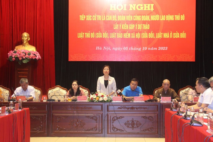 Phó trưởng đoàn chuyên trách, Đoàn đại biểu Quốc hội TP Hà Nội Phạm Thị Thanh Mai phát biểu tại hội nghị