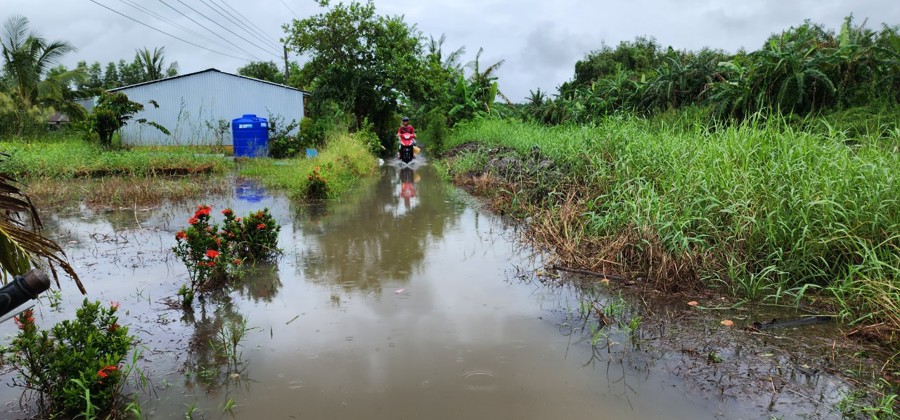 Triều cường kết hợp mưa lớn đã khiến các địa phương Cà Mau ngập  úng.