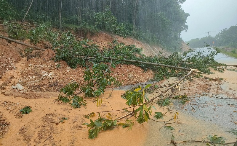 Tỉnh lộ 553 huyện Hương Khê bị sạt lở nghiêm trọng, rất nhiều đất đá, cây cối đổ sập xuống chắn ngang đường 