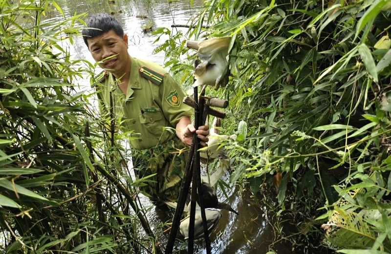 Mừa mưa bão tình trạng săn bắt chim di cư diễn ra khá phổ biến trên địa bàn tỉnh Hà Tĩnh 