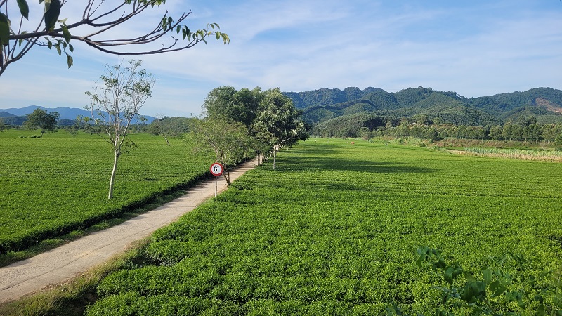 Xây dựng nông thôn mới ở tỉnh Hà Tĩnh tạo bước phát triển toàn diện, khởi sắc cho nhiều vùng quê nông thôn