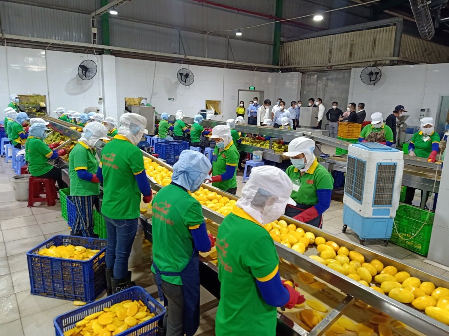 Công nhân lao động tại Đồng Nai sản xuất hàng nông sản phục vụ xuất khẩu nước ngoài.