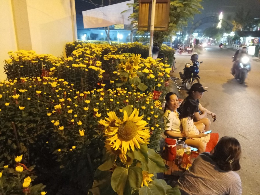 Hoa tết bày bán rất nhiều tại các cung đường thuộc khu vực trung tâm hành chính huyện Hòa Vang và chợ Túy Loan, đêm 28 Tết sức mua giảm hẳng so với mọi năm.