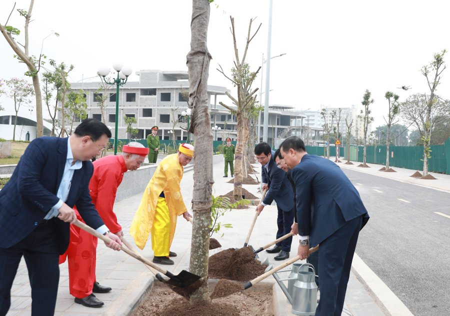 Năm 2024, quận Hoàng Mai lên kế hoạch trồng 2.600 cây xanh, trong đó 1.400 cây xanh đô thị và 1.200 cây xanh bóng mát. Ảnh TT