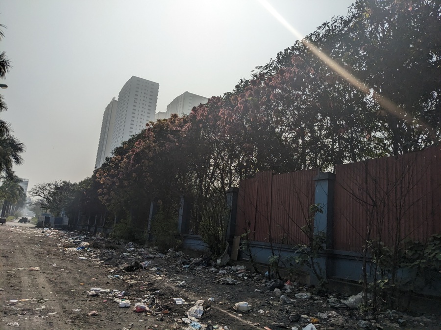 Hàng cây xanh bị chết khô vì nằm cạnh bãi rác thải trong CCN Lai Xá. Ảnh: Quý Nguyễn