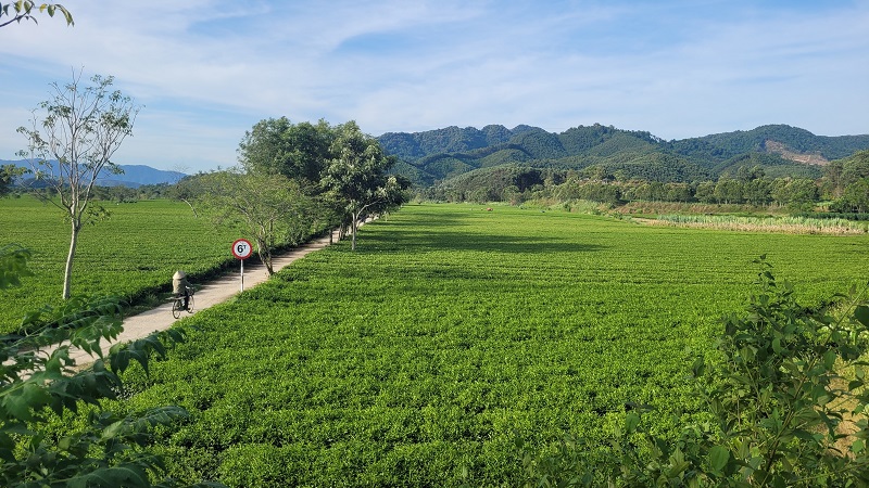 Quyết định số 683 của UBND tỉnh Hà Tĩnh góp phần tăng nguồn lực cho các địa phương phát triển nông nghiệp, nông thôn, xây dựng nông thôn mới