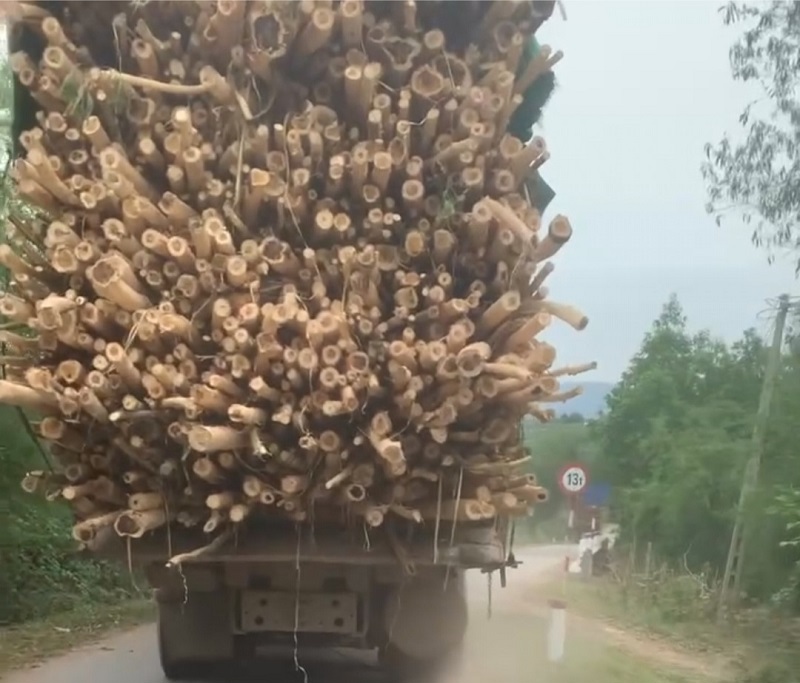 Xe chở gỗ keo tràm có dấu hiệu quá khổ, quá tải trọng lưu thông trên tuyến đường tỉnh ĐT558C đoạn qua xã Ngư Hóa, huyện Tuyên Hóa