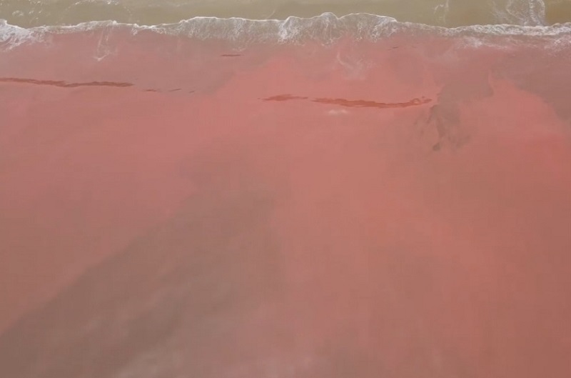 Vùng biển xã Cẩm Nhượng, bất ngờ xuất hiện những vệt nước đỏ như 'máu' 