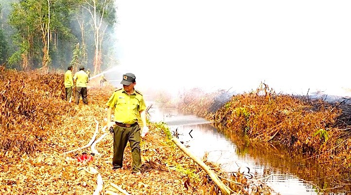 Nắng nóng khô hạn kéo dài đang khiến 31.000 ha rừng ở Cà Mau đang đối diện cảnh báo nguy cơ cháy cấp V (Hoàng Nam)