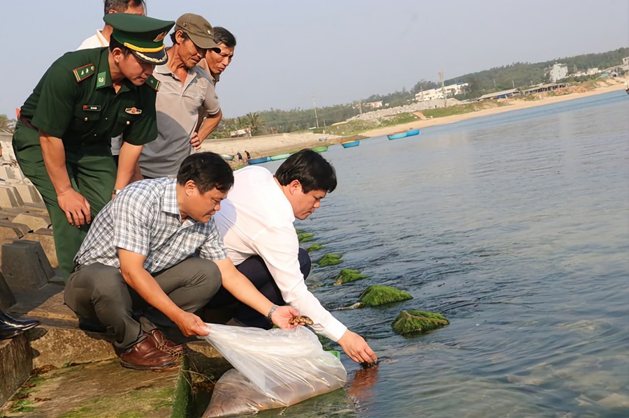 Lãnh đạo tỉnh Quảng Ngãi thả giống tái tạo nguồn lợi thủy sản.