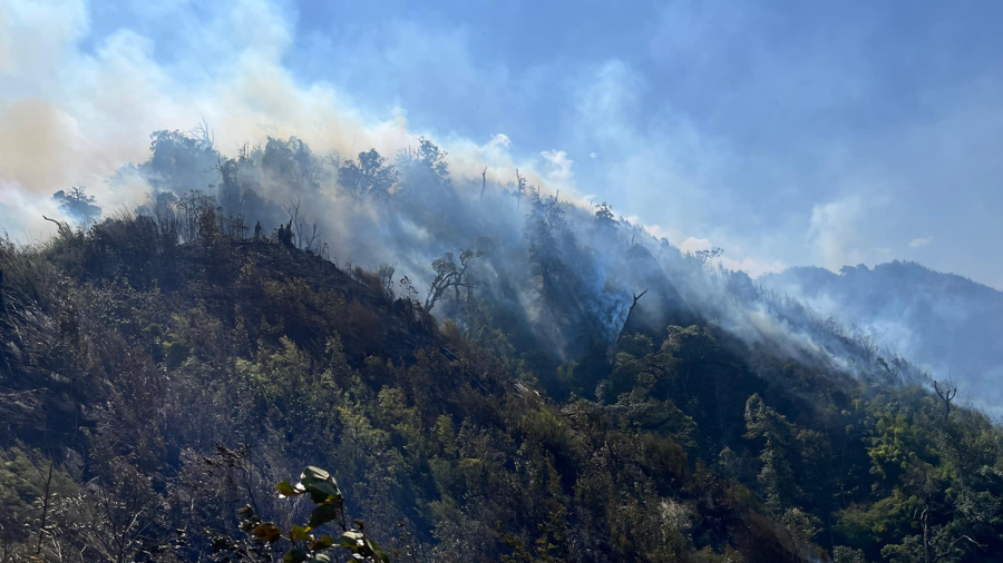Hình ảnh đám cháy rừng vừa qua xảy ra tại Vườn Quốc gia Hoàng Liên ở Lào Cai.