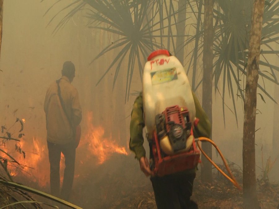 Lực lượng bảo vệ rừng phòng hộ Xuân Lộc ngăn chạn kịp thời các nguồn cháy phát sinh trong cao điểm mùa khô hạn.