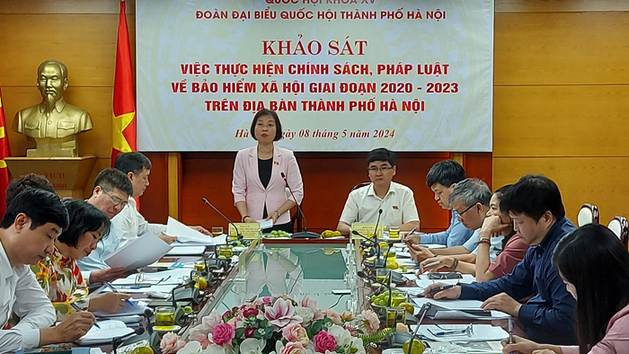 Phó trưởng Đoàn chuyên trách Đoàn đại biểu Quốc hội TP Hà Nội Phạm Thị Thanh Mai phát biểu tại buổi làm việc