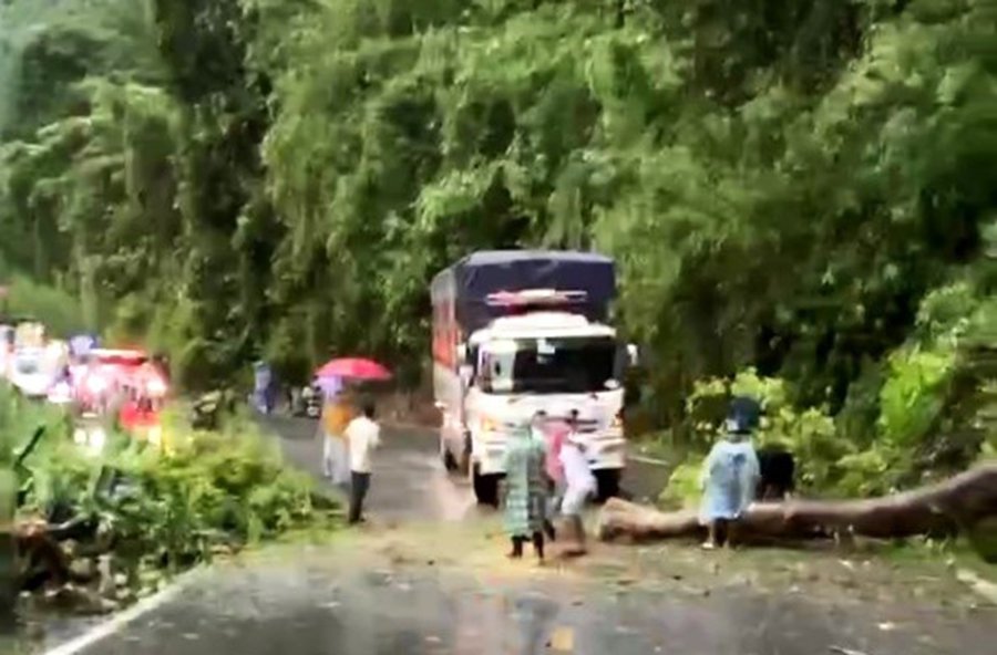 Cây lớn gãy đổ gây ách tắc giao thông đèo Bảo Lộc