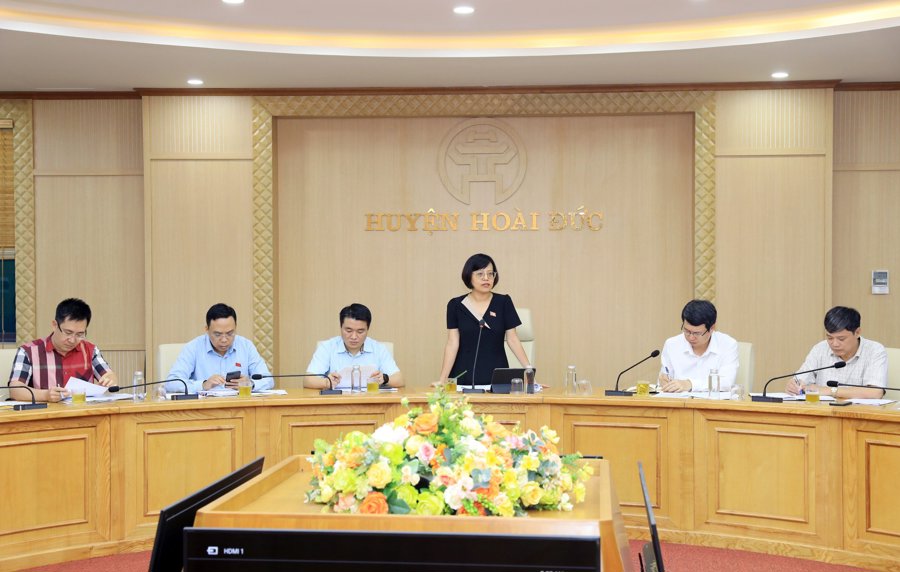 Trưởng Ban Kinh tế-Ngân sách HĐND TP Hà Nội Hồ Vân Nga phát biểu tại buổi làm việc
