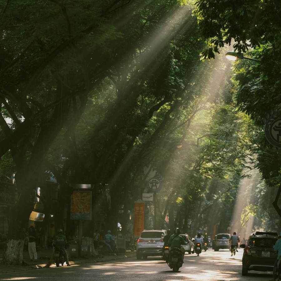 Dự báo thời tiết ngày 3/8/2024: Hà Nội mưa rào, trời mát ngày cuối tuần. Ảnh minh họa. Nguồn: Internet