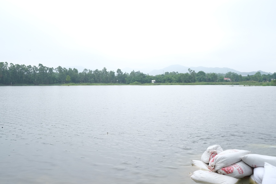 Dự án chăn nuôi tổng hợp tại hồ thủy lợi Hương Đà chưa có quyết định phê duyệt địa điểm của UBND tỉnh Vĩnh Phúc. Ảnh: Sỹ Hào. 