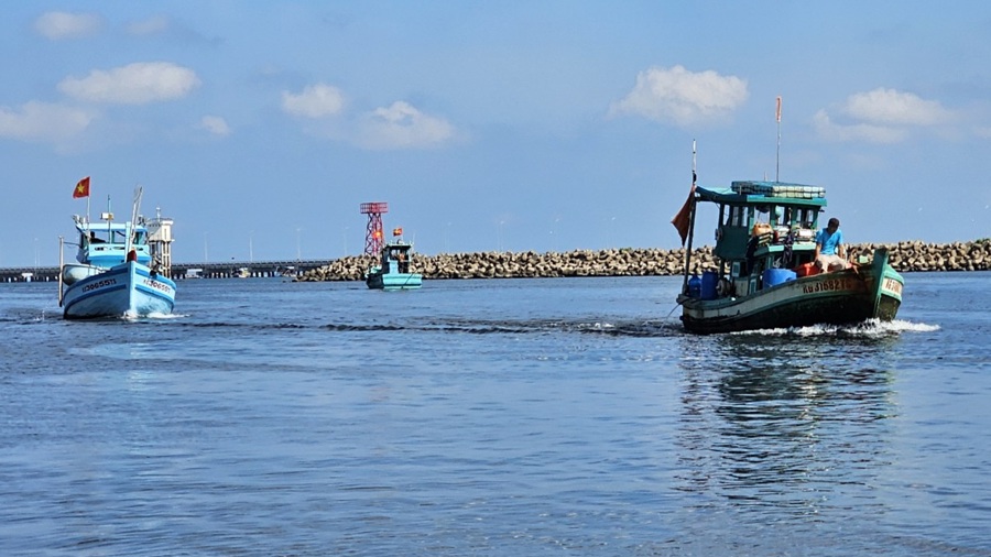 Kiên Giang đang tích cực ứng dụng công nghệ số vào kiểm soát, truy xuất nguồn gốc thủy sản. Ảnh: Hồng Lĩnh