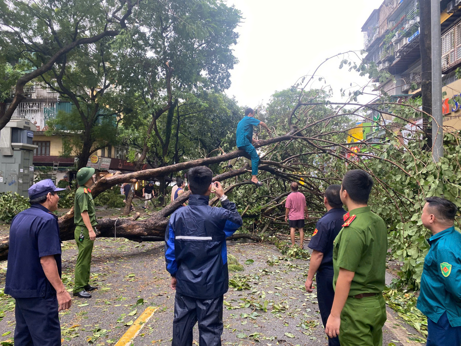 Các lực lượng chức năng quận Ba Đình khẩn trương khắc phục các sự cố cây đổ trong sáng sớm ngày 8/9. 